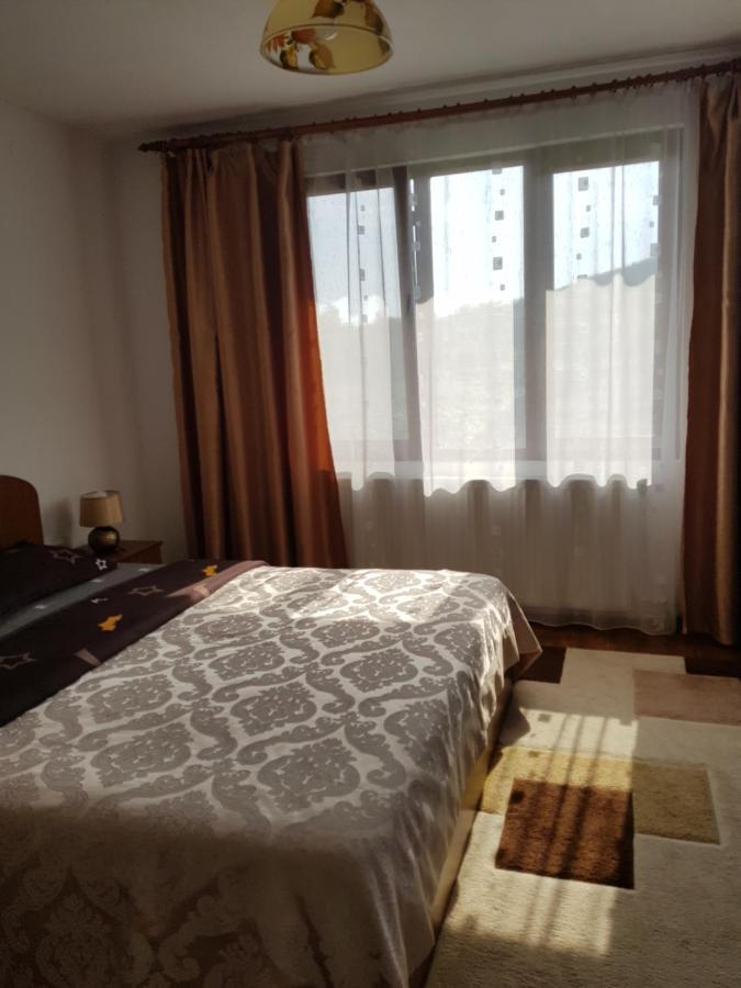 폴로브라기 La Bunicu 빌라 외부 사진